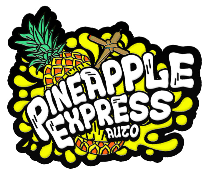 Fastbuds - Pineapple Express Auto
