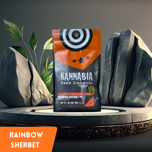 Kannabia - Rainbow Sherbet
