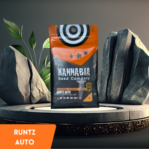 Kannabia - Runtz Auto
