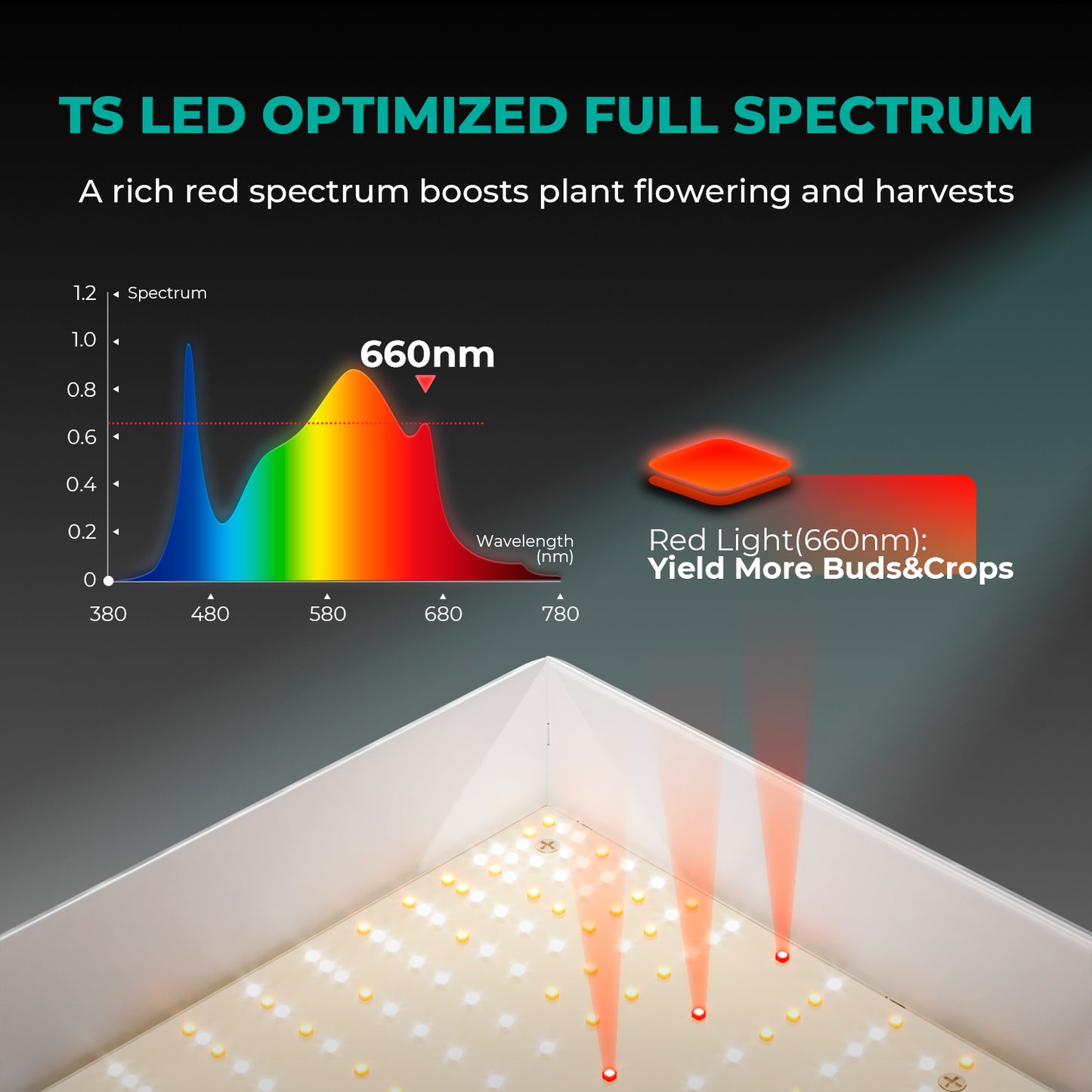 Mars Hydro - Growbox Komplett Set 120x60x180cm