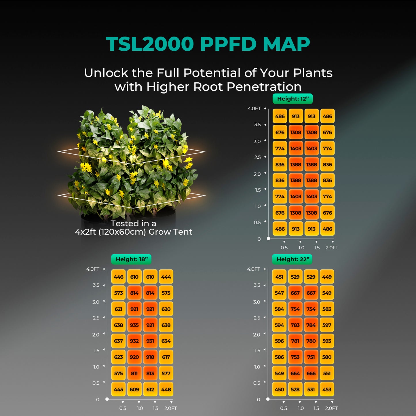 Mars Hydro - Growbox Komplett Set 120x60x180cm