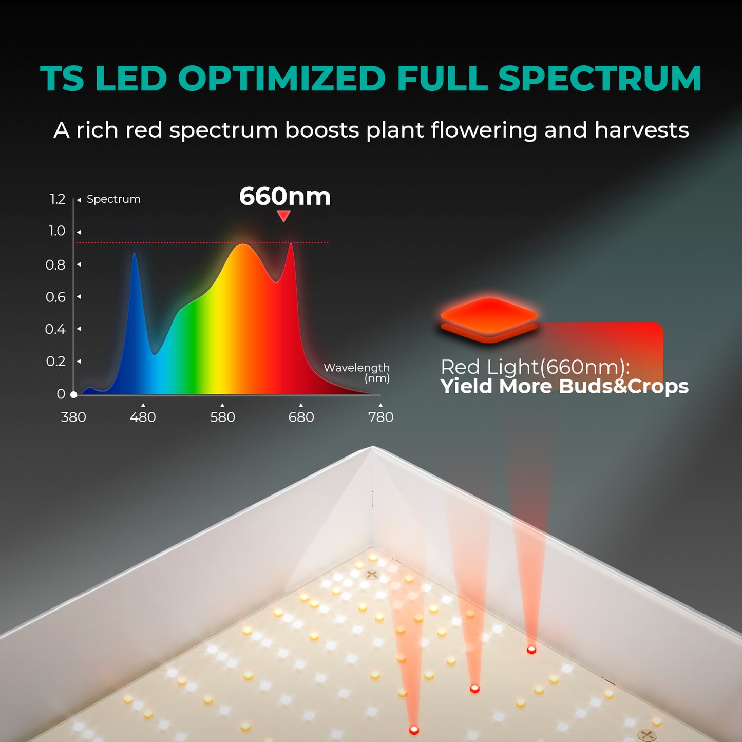 Mars Hydro - Growbox Komplett Set 120x120x200cm