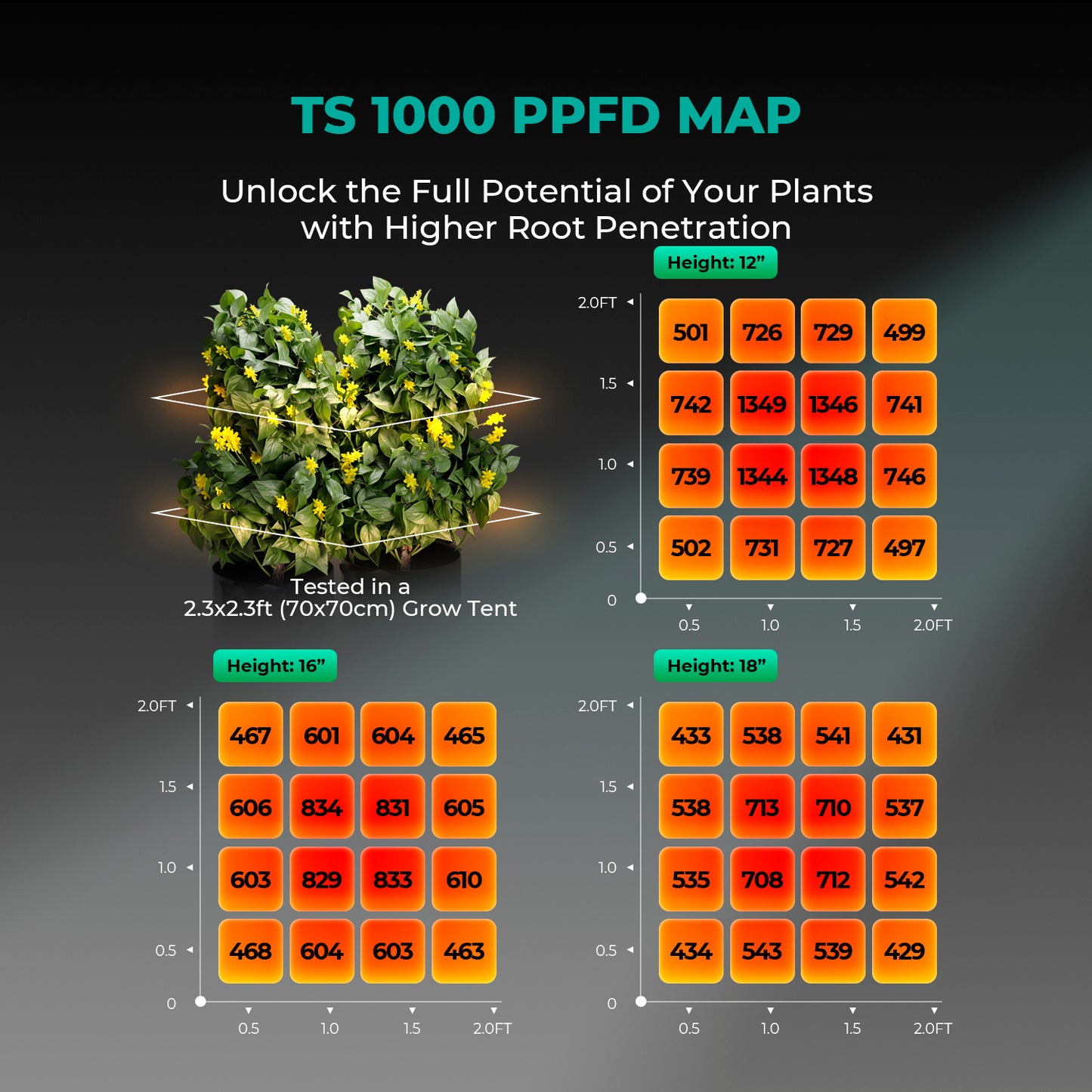 Mars Hydro - Growbox Komplett Set 80x80x160cm