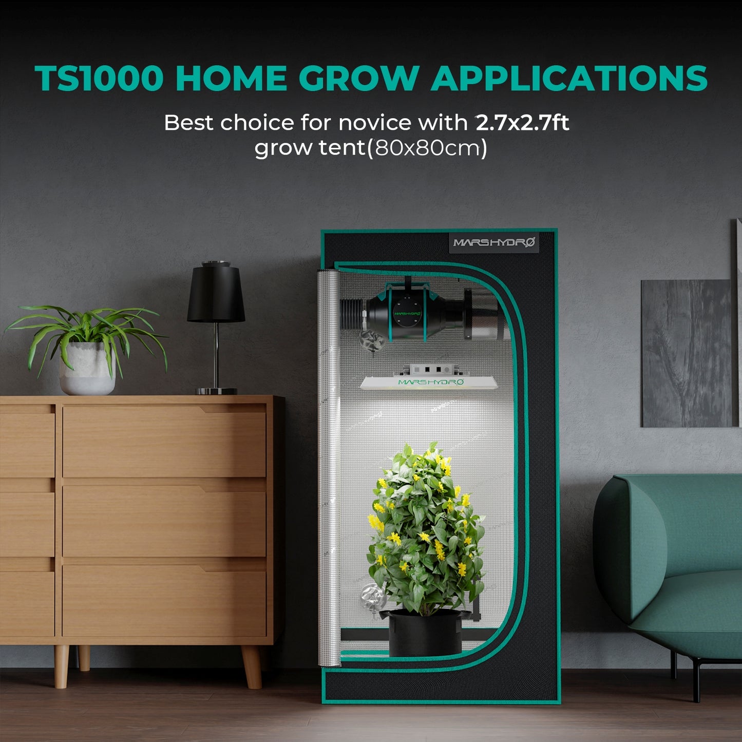 Mars Hydro - Growbox Komplett Set 80x80x160cm