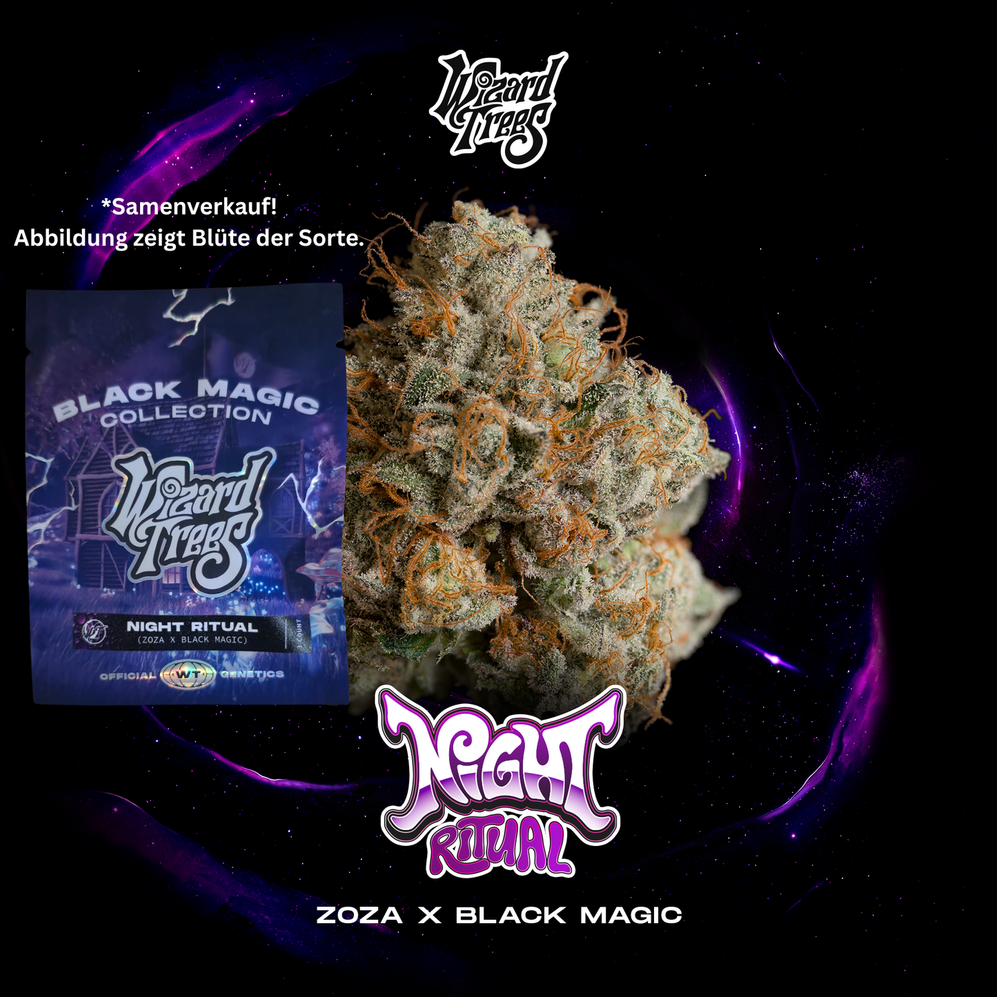 Wizard Trees - Night Ritual