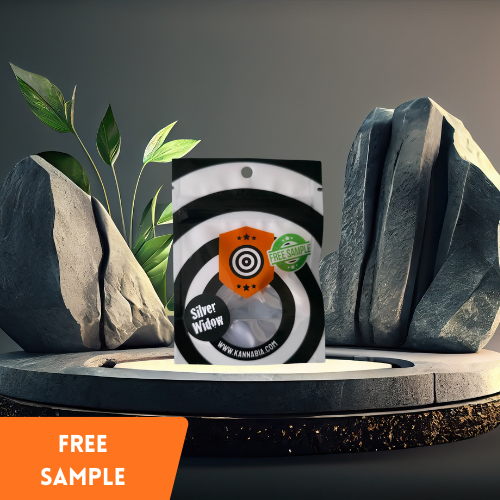 Kannabia - Silver Widow (Free Sample)