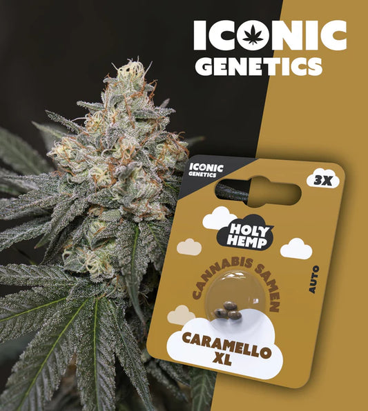 HolyHemp - Caramello XL