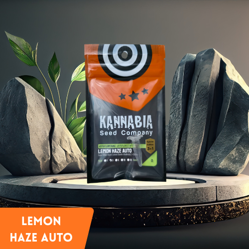 Kannabia - Lemon Haze Auto