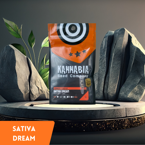 Kannabia - Sativa Dream