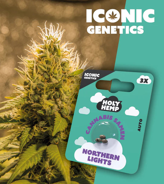 HolyHemp - Northern Lights