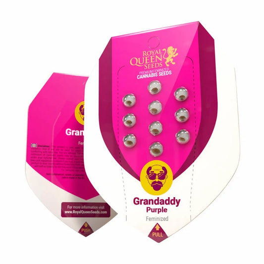 Royal Queen Seeds - Granddaddy Purple
