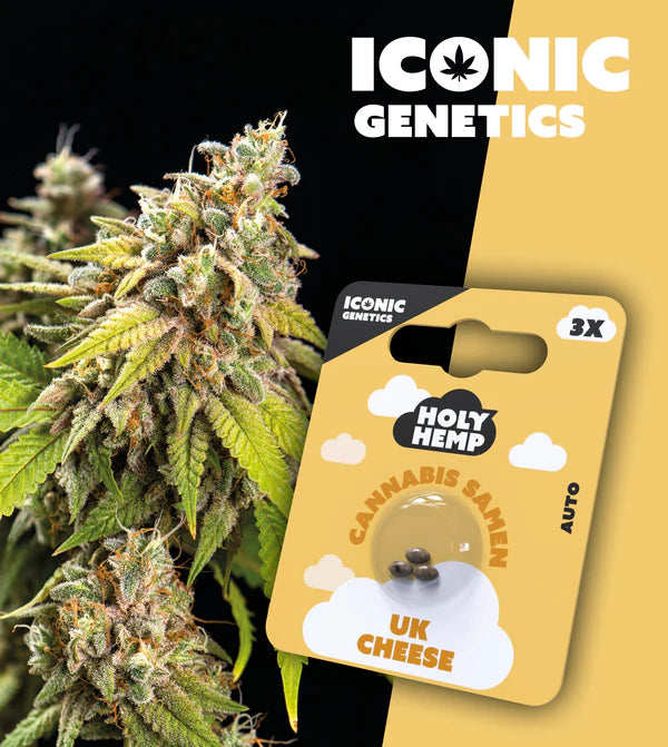 HolyHemp - UK Cheese
