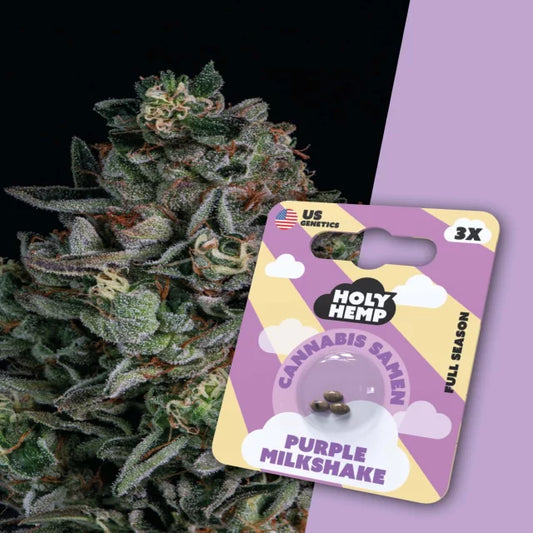 Holy Hemp - Purple Milkshake (Full Season)