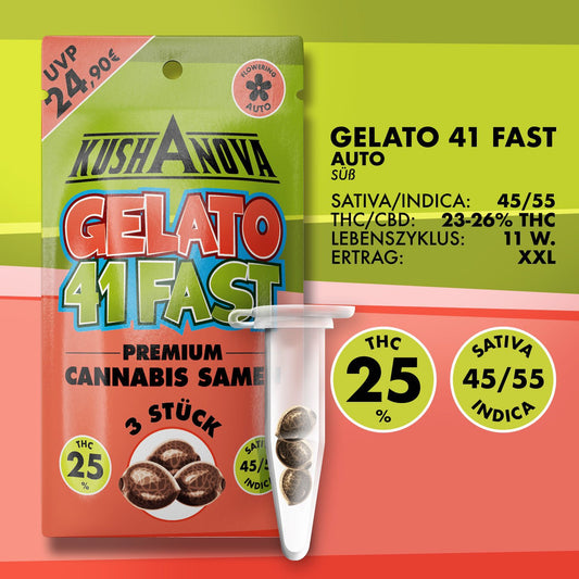 Autoflower Cannabis Samen im Grow Elemenz Shop