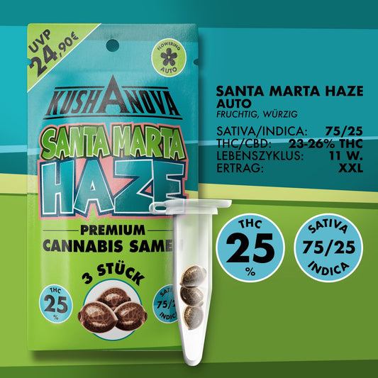 Kushanova Santa Marta Haze Autoflower Cannabis Samen Bei Grow Elemenz