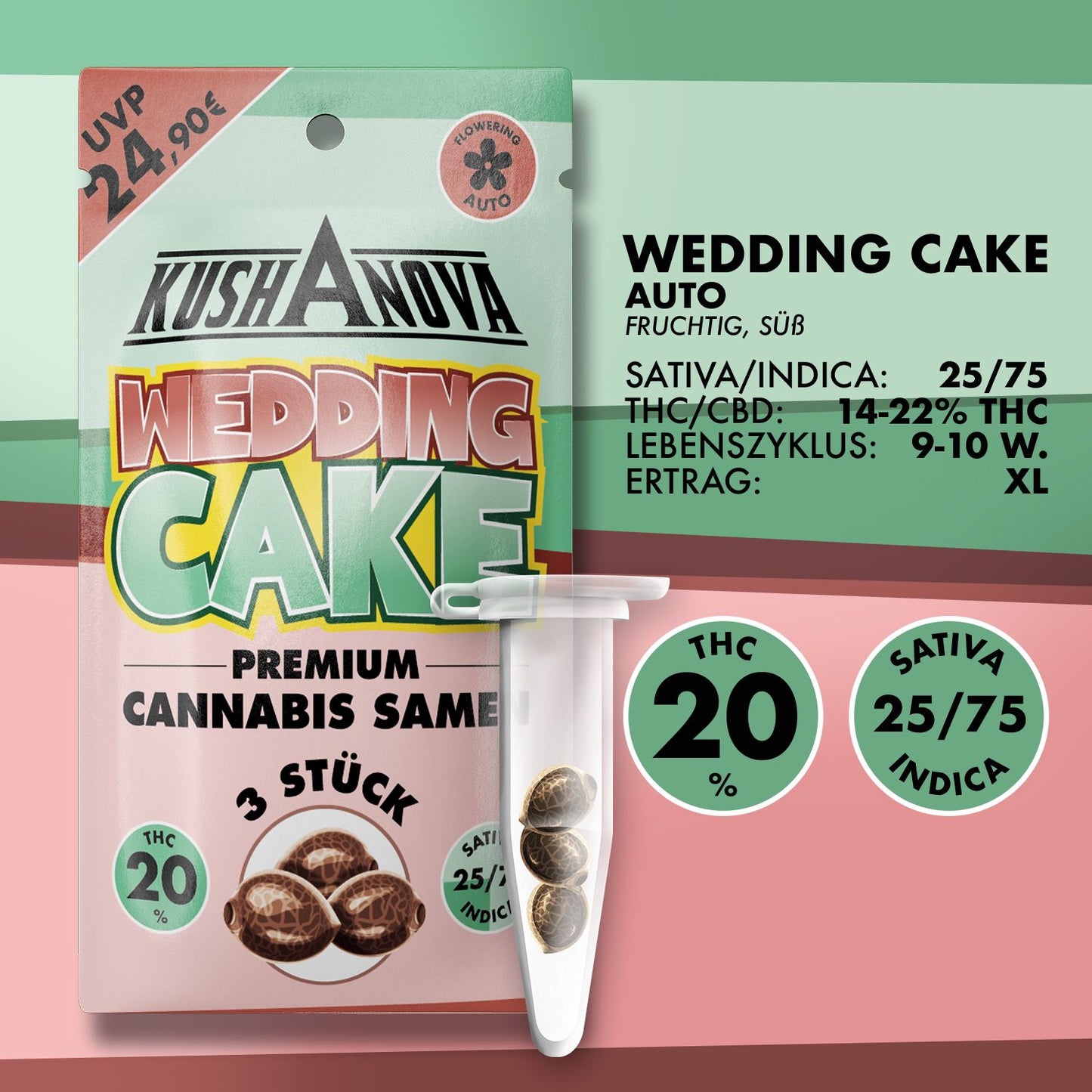 Kushanova Wedding Cake Autoflower Cannabis Samen im Grow Elemenz Online Growshop