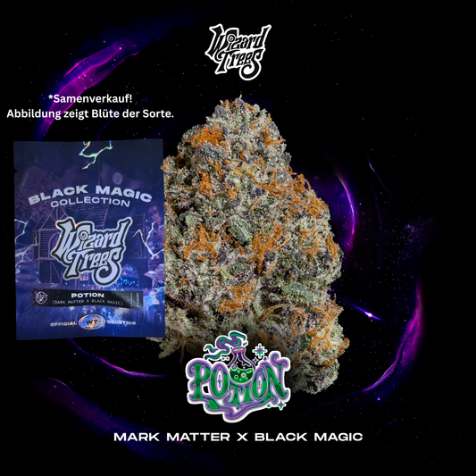 Wizard Trees - Potion